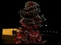 Bronte BIA-West Oakville, ON Canada-Christmas Tree Lighting