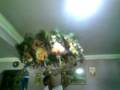 videos de Kavadi dance