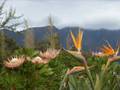 South Africa Nature 2 - YouTube