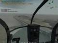 Duck Hunt 2008 - Zatar wetlands    (0.7)