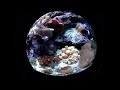 my 20 gallon nano reef...just a bunch os soft corals,mushroons and etc....november 2009.. :D 