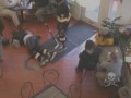 Jackass - Hockey Fight