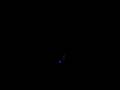 Haunted Frog Blog part 1