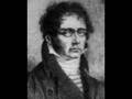 (3/3) Danzi: Sinfonia Concertante for Flute, Clarinet, Piano (3rd movt.)