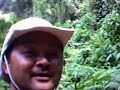 iporanga iporanga