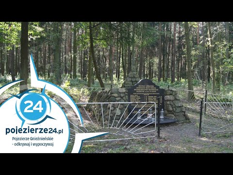 Lasy Miradzkie - miejsce masowych egzekucji z czasów II wojny światowej