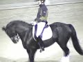 Edward Gal en Moorland\