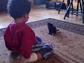 Julian playing with a 3wk old kitten