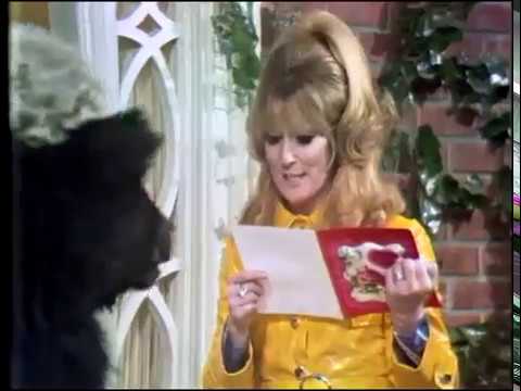 no cookies not now not ever chuck the writer no cookies not now not ever chuck the writer