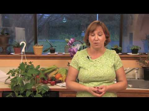 how to dig up grass to replant