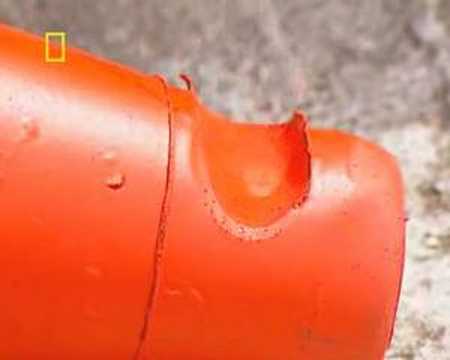 National Geographic Channel - I ...