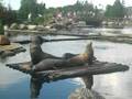 Dolfinarium Harderwijk Zeeleeuwen en Dolfijnen