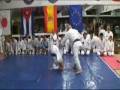 videos de MITSU BOSHI EL CAMINO DEL BUDO GRAN MAESTRO ANTONIO ENJUTO ROJO Y DANIEL MARTINEZ.flv