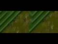 Ultima Online 2D Client Synchronization Test