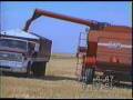 Farming near Streeter ND in 1991