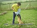 Txapeldun Club de Adiestramiento - Argish