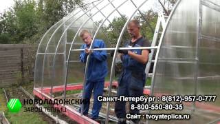 Собрать теплицы из поликарбоната своими руками Собрать теплицы из поликарбоната своими руками