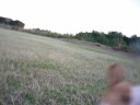 Goro@Welsh corgi 20081119 ball