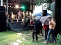 NIBS p� Grasrot festival