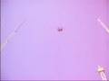 Sling Shot la otra version