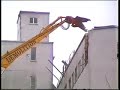 Tyrannosaurus Rex