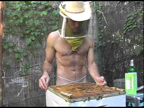 Naked Beekeeper.dv