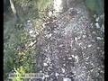 videos de 201108