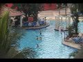 Melia Puerto Vallarta Mexico Beach Resort Teressa Przybysz hotel review reviews