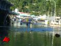 Raw Video: Quake Spawns Tsunami in Samoa