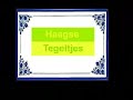 Haagse WandTegeltjes (The Hague Speaks)