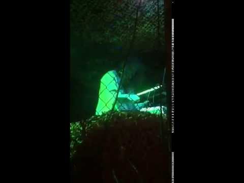 13th warrior 13th warrior