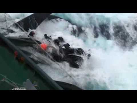 Sea Shepherd Boat ADY GIL Rammed and Sunk by Japanese Whalers YouTube Preview Image