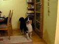 opens-the-door