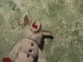 Eye of the Lamb Chop Eye of the Lamb Chop