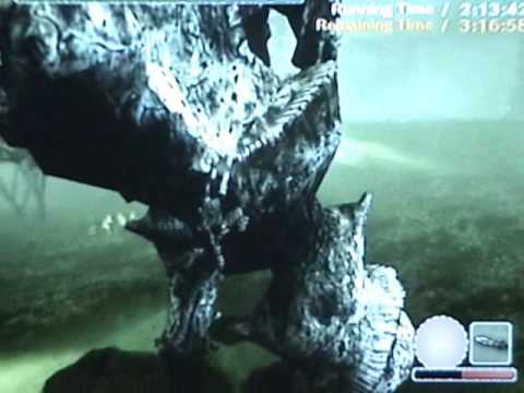 sotc - Well, I guess you could just call this vid Extreme colossus stunts : extended edition lol. Anyways I just wanted to show people how far SoTC has truely gone,...