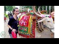 Click here to watch this video Study Abroad, Make a Difference