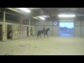 If You Feel It Too Keep The Feeling True((magic bareback))
