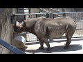 Click here to watch this video San Antonio Zoo with SONY DCR-HC62