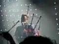 Peatbog Faeries.... Folk Police