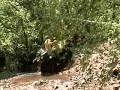 playing in the creek 3