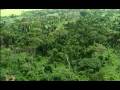 videos de a-zo productions promo