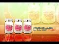 BCG Winter Collection .mp4 BCG Winter Collection .mp4