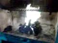 videos de Leo y su fuego