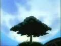Parodia Shaman King-Yoh