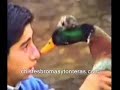 Chascarros y videos chistosos de animales