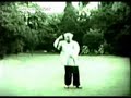Fu Zhongwen (1903- 1994) [1of2]