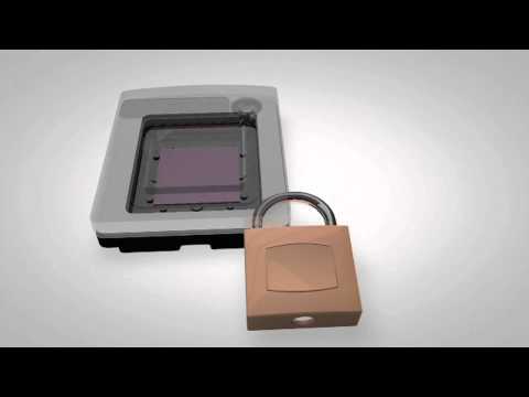 how to eliminate pcr contamination