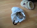 Two bengal kittens and a plastic bag!