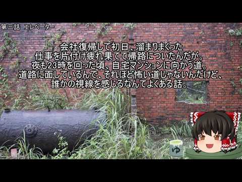 動画