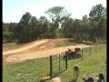 MX Moto 2 @ Timber run MX